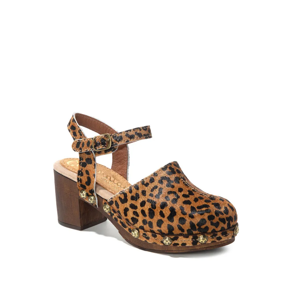 Betty | Leopard